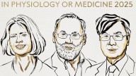 Nobel de Medicina 2025: Brunkow, Ramsdell y Sakaguchi, premiados por revelar el "freno" del sistema inmune