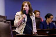 Lori Berman renews her fight to shield victims of violence