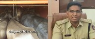 Puttur: Charge memo issued to inspector in illegal cattle transport case