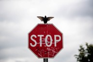 Pasadena road safety plan to address city’s most crash