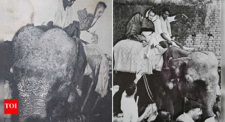 ‘It was raining ...’: Congress recalls Indira Gandhi’s 1977 Bihar visit; posts pics of her on elephant