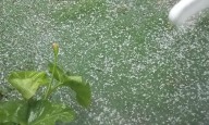 Una granizada sorprendió a los bahienses