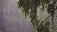 Low pressure area over Southwest Bay of Bengal intensifies; IMD issues yellow warning across Odisha