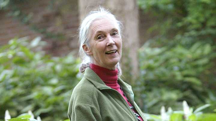 Jane Goodall Spent Her Final Interview Dreaming Of Launching Trump & Elon Musk Into Space
