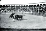 1OO años de la muerte de Nacional II: Cómo el torero temerario falleció de un botellazo en una trifulca taurina en Soria