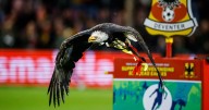 Who are Go Ahead Eagles? Aston Villa's Dutch opponents with tiny stadium and wild mascot