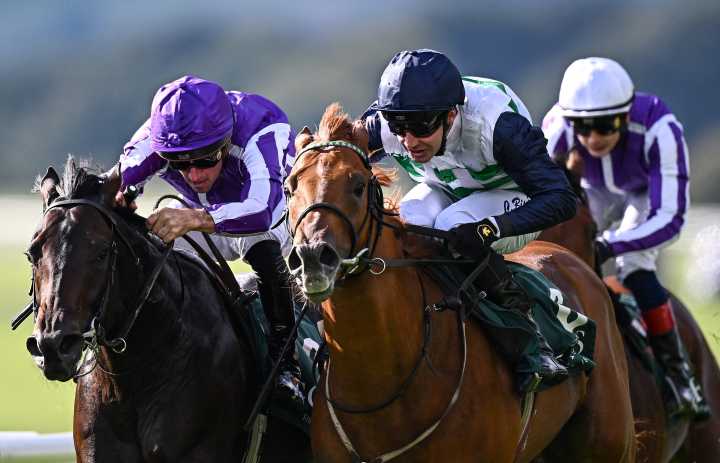 Zavateri can offer World Pool punters Grande value