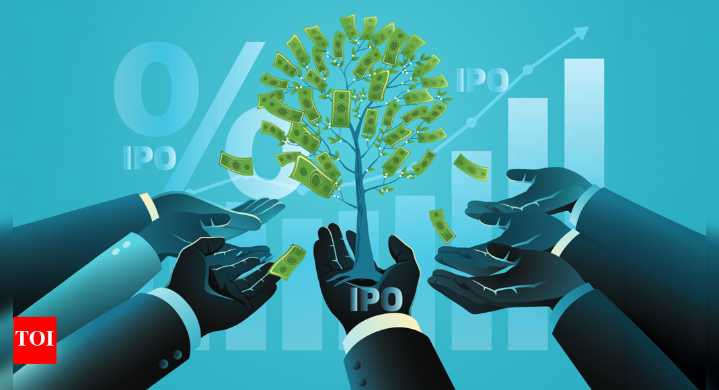 As IPO frenzy takes over, here’s what every investor needs to know