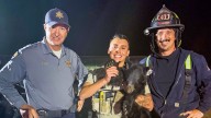 Bear cub spotted in San Tan Valley captured, relocated