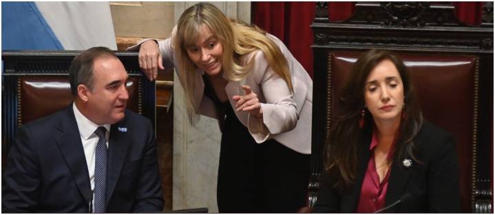 El Senado sesiona este jueves y la oposición tiene los votos para voltear los vetos de Milei a las leyes del Garrahan y Universidades