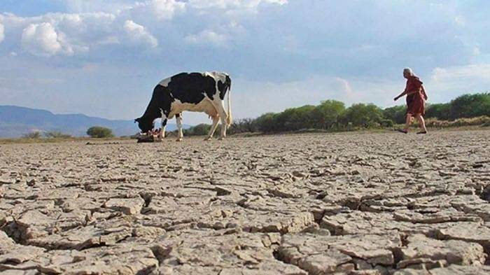 Ciclo hidrológico 2025-2026: San Juan tendría 40% menos de agua