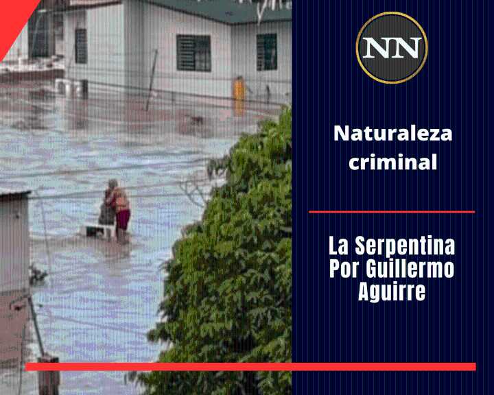 Naturaleza criminal