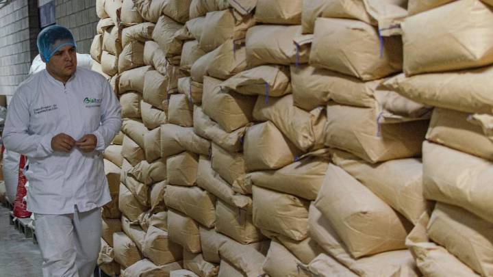 Bialtec, el emprendimiento paisa que revoluciona la nutrición animal con biotecnología en Colombia y Brasil