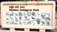 Delhi zoo bird flu-free, but reopening likely only after October 30