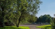 Teenager rushed to hospital after stabbing attack at park