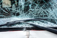 High Point: Conductor ayuda a animal herido y muere atropellado