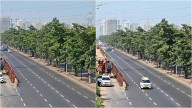 Mumbaikars Warn Authorities About Protests To Save Over 700 Trees Proposed To Be Cut For MMRDA's ₹2,682 Crore Elevated Road From Ghatkopar To Thane
