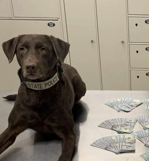 K-9 retires after eight years of service with Idaho State Police