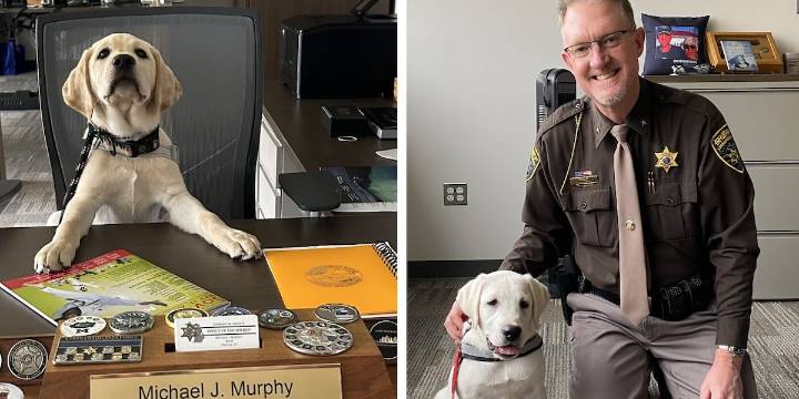 Livingston County Sheriff’s Office adds a furry face to the team