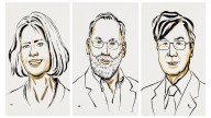 Nobel Prize 2025 awarded to US and Japanese scientists for immune tolerance research