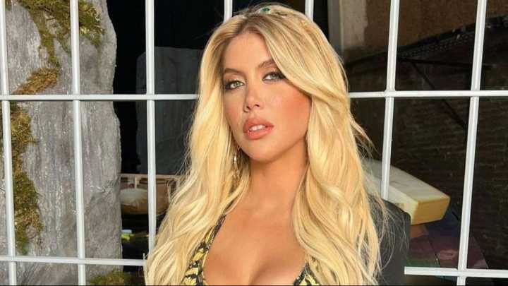 ¿Embarazada? Wanda Nara presentó al nuevo integrante de la familia junto a su novio