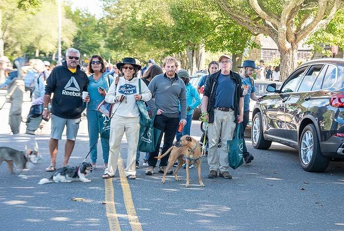 Walk Your Way to Wellness with ARF Hampton’s Stroll to the Sea Dog Walk