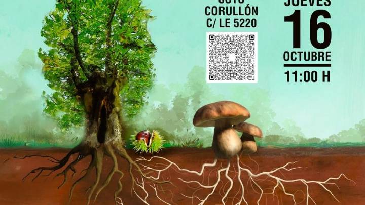 La Asociación Micológica Berciana Cantharellus inicia su campaña de otoño