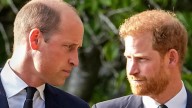 Prince William Reflects on Childhood With Harry, Vows to Avoid Past Mistakes as a Father