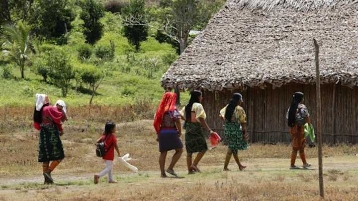 Corte Constitucional falla a favor de la Defensoría por graves violaciones a los derechos de niños y niñas indígenas del Vichada