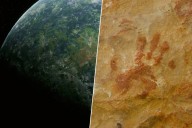 La química ha resuelto un gran misterio de nuestra humanidad: cuáles fueron los primeros animales en habitar la Tierra