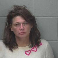 Suspect in Kosta's theft appears in court, has prior convictions in multiple states