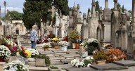 «La capacidad del cementerio de Palma está garantizada para los próximos 10 años»