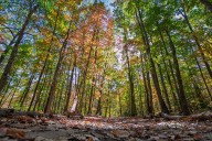 Ohio’s war on nonprofit tax breaks is starting with... The Nature Conservancy?!