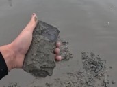 Encontró un iPhone enterrado en una playa y logró ubicar a su dueña: "Pensé que nunca más lo volvería a tener"