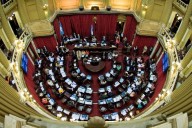 OTRA SEÑAL! El Senado Nacional con votos correntinos rechazó los vetos de Milei