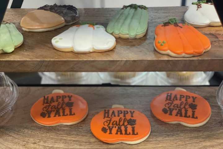 10 October, November events to enjoy in ...