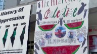 Lincoln students protest plight of Palestinians in bombed