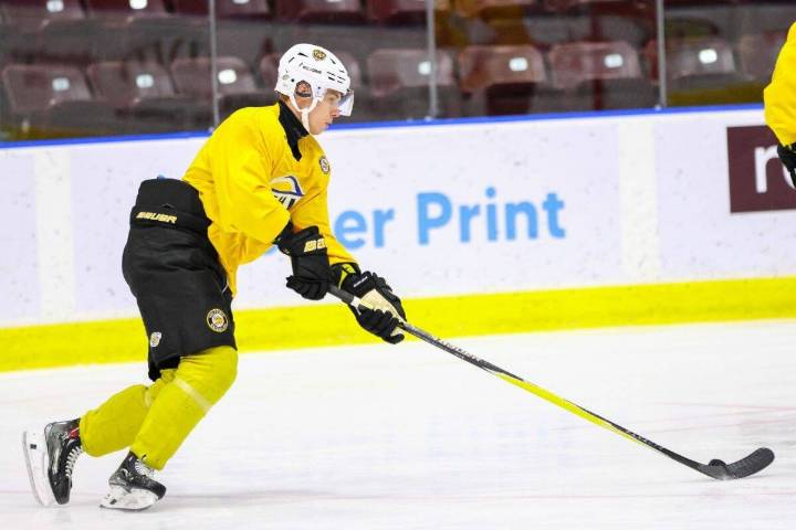 ‘Canada is the home of hockey’: Artur Gross travels 8,700 km to join Victoria Grizzlies