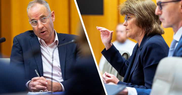 RBA boss Michele Bullock says rate cuts didn't cause housing crisis in tense Senate hearing with Nick McKim
