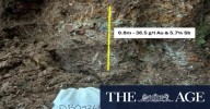 Siren soils light up new gold–antimony system in New Zealand