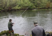 La supervivencia del salmón en los ríos de Asturias: ¿necesita una veda?