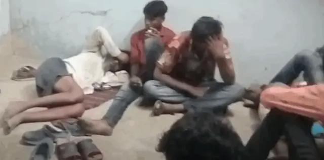 11 Arrested For Over Bat Hunting Racket In Odisha’s Cuttack
