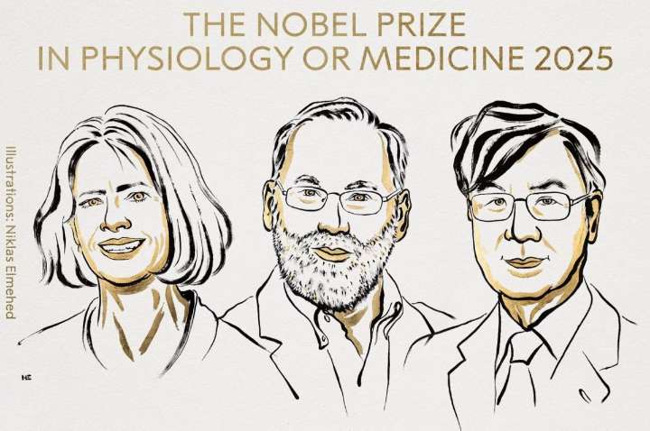Tres investigadores ganan el Nobel de Medicina por estudiar la autoinmunidad