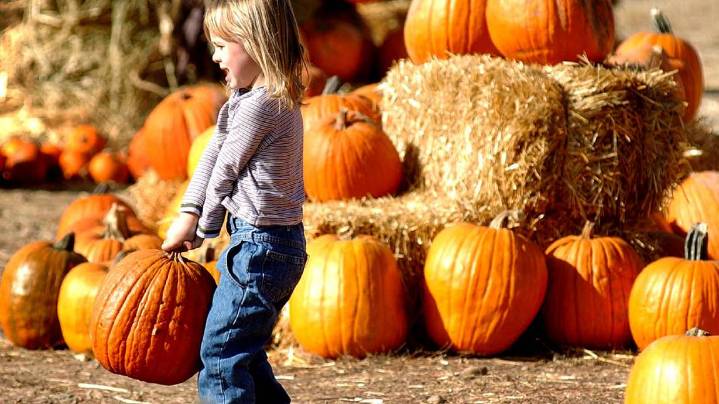 Delight in some Utah fall events and Halloween fun