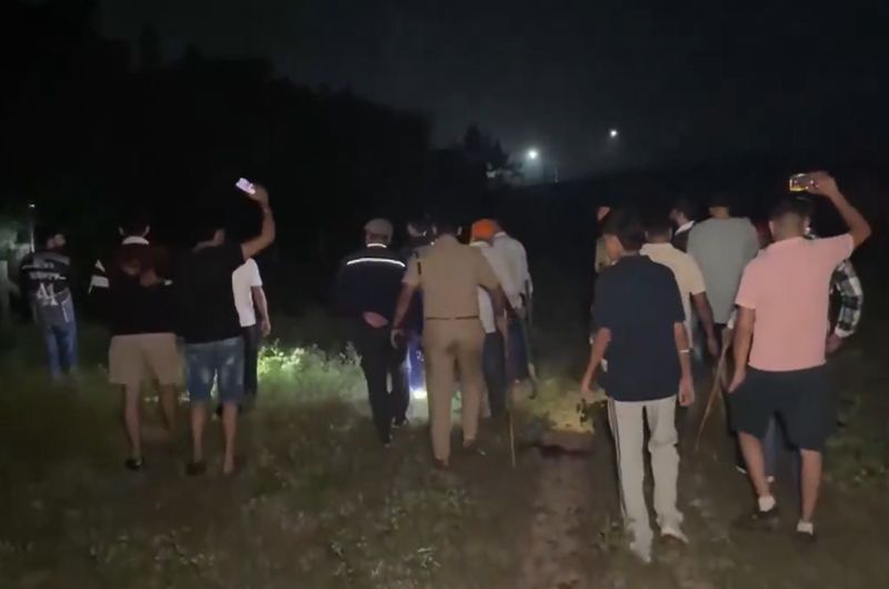 Leopard sighted in Haryana's Ambala, search operation underway