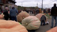 Things to do in Minnesota: 5 things to do this weekend (Oct. 10