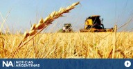 Estiman que la próxima campaña de trigo alcanzará un volumen récord
