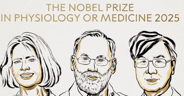 Brankov, Ramstell y Sakaguchi, galardonados con el Premio Nobel de Medicina