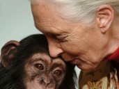 Opinion: Jane Goodall helped humans understand their place in the world