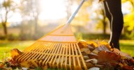 Good to Know: Fall leaf and yard waste collection returns